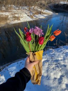 Beschwerdebrief über einen Blumenstrauß B2 Telc
